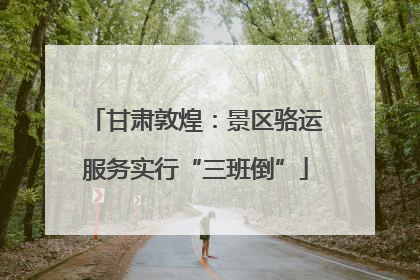 甘肃敦煌：景区骆运服务实行“三班倒”