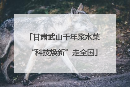 甘肃武山千年浆水菜“科技焕新”走全国