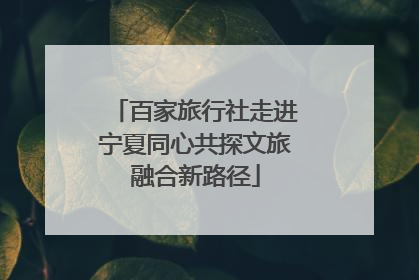 百家旅行社走进宁夏同心共探文旅融合新路径
