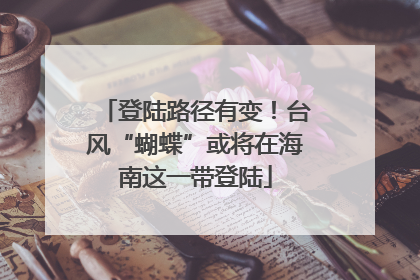 登陆路径有变！台风“蝴蝶”或将在海南这一带登陆