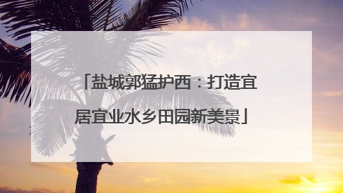 盐城郭猛护西：打造宜居宜业水乡田园新美景