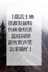 盘活土地资源发展特色林业经济 荔枝园里游客欢声笑语采摘忙