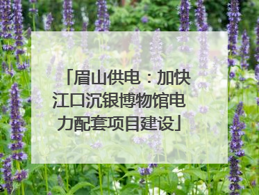 眉山供电：加快江口沉银博物馆电力配套项目建设