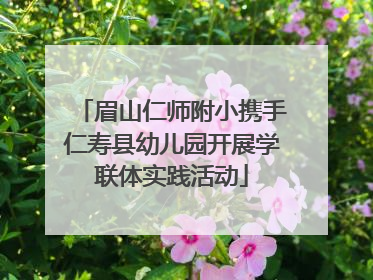 眉山仁师附小携手仁寿县幼儿园开展学联体实践活动