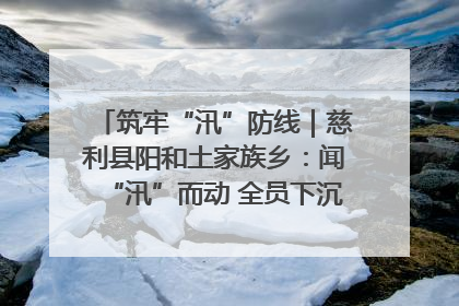 筑牢“汛”防线｜慈利县阳和土家族乡：闻“汛”而动 全员下沉筑牢防汛“安全堤”
