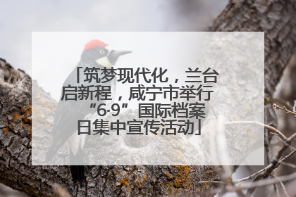筑梦现代化，兰台启新程，咸宁市举行“6·9”国际档案日集中宣传活动