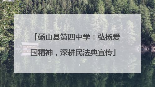 砀山县第四中学：弘扬爱国精神，深耕民法典宣传