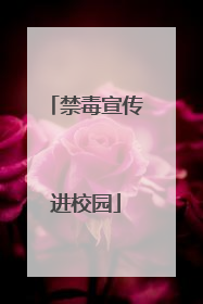 禁毒宣传进校园