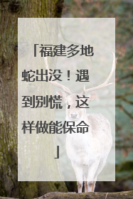 福建多地蛇出没！遇到别慌，这样做能保命