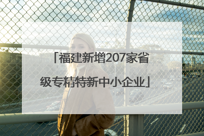 福建新增207家省级专精特新中小企业