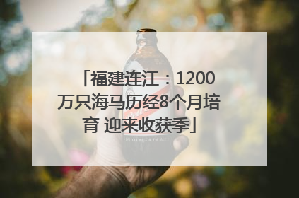 福建连江：1200万只海马历经8个月培育 迎来收获季