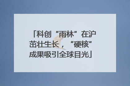 科创“雨林”在沪茁壮生长，“硬核”成果吸引全球目光
