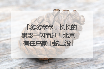 窸窸窣窣，长长的黑影一闪而过！北京有住户家中蛇出没