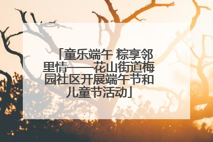 童乐端午 粽享邻里情——花山街道梅园社区开展端午节和儿童节活动