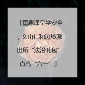 童趣课堂学安全，文山仁和边境派出所“法治礼包”点亮“六一”