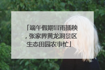 端午假期冒雨插秧，张家界黄龙洞景区生态田园农事忙