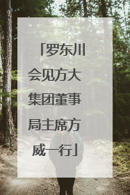 罗东川会见方大集团董事局主席方威一行