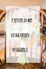 罗湾乡畔 珍味里的幸福路