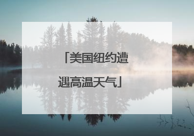 美国纽约遭遇高温天气