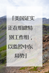 美国证实正在组建特别工作组，以监控中东局势