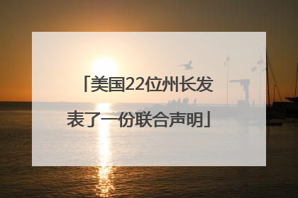 美国22位州长发表了一份联合声明