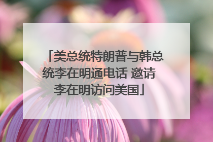 美总统特朗普与韩总统李在明通电话 邀请李在明访问美国