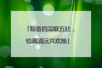 粽香四溢联五社，情满浦沅共欢颜