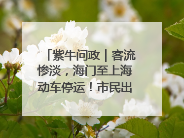 紫牛问政｜客流惨淡，海门至上海动车停运！市民出行不便，呼吁铁路部门恢复班次