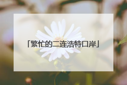 繁忙的二连浩特口岸