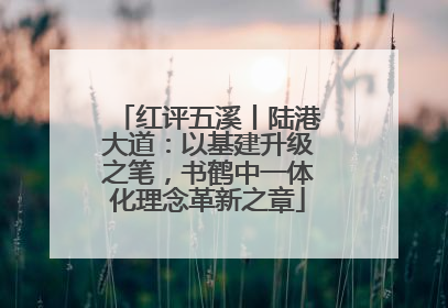 红评五溪丨陆港大道：以基建升级之笔，书鹤中一体化理念革新之章