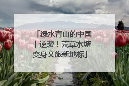绿水青山的中国丨逆袭！荒草水塘变身文旅新地标