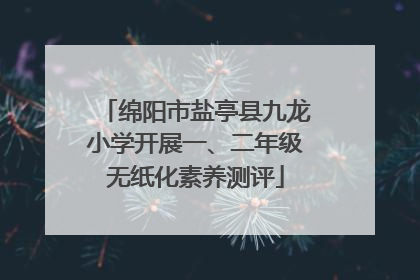 绵阳市盐亭县九龙小学开展一、二年级无纸化素养测评