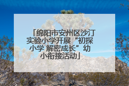 绵阳市安州区沙汀实验小学开展“初探小学 解密成长”幼小衔接活动