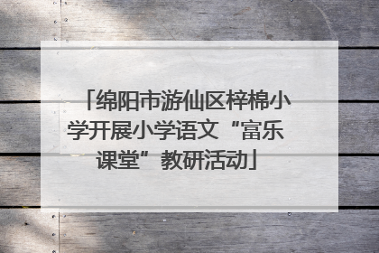 绵阳市游仙区梓棉小学开展小学语文“富乐课堂”教研活动