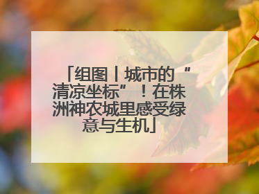 组图丨城市的“清凉坐标”！在株洲神农城里感受绿意与生机