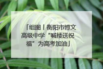 组图丨衡阳市博文高级中学“喊楼送祝福”为高考加油