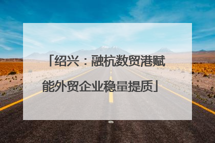 绍兴：融杭数贸港赋能外贸企业稳量提质