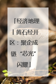 经济地理丨黄石经开区：聚企成链“芯光”闪耀