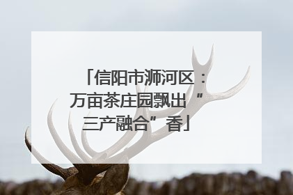 信阳市浉河区：万亩茶庄园飘出“三产融合”香