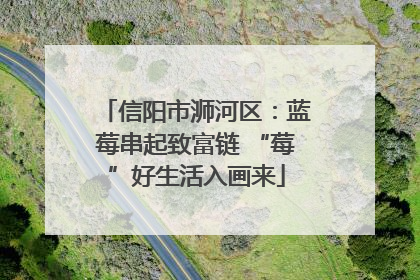 信阳市浉河区：蓝莓串起致富链 “莓”好生活入画来