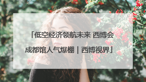 低空经济领航未来 西博会成都馆人气爆棚｜西博视界