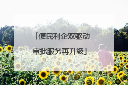便民利企双驱动 审批服务再升级