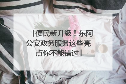 便民新升级！东阿公安政务服务这些亮点你不能错过