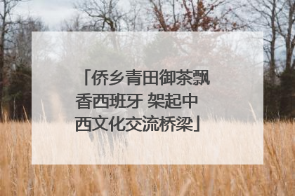 侨乡青田御茶飘香西班牙 架起中西文化交流桥梁