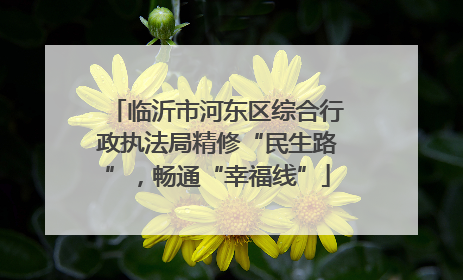 临沂市河东区综合行政执法局精修“民生路”，畅通“幸福线”