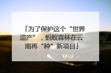 为了保护这个“世界遗产”，蚂蚁森林在云南再“种”新项目