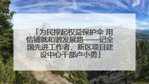 为民撑起权益保护伞 用情铺就和谐发展路——记全国先进工作者、新区项目建设中心干部卢小勇