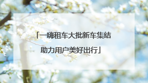 一嗨租车大批新车集结 助力用户美好出行