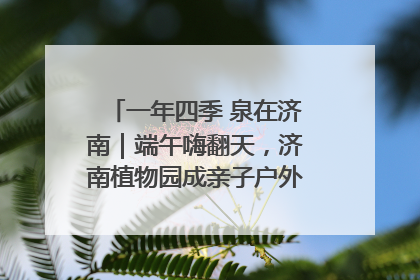 一年四季 泉在济南｜端午嗨翻天，济南植物园成亲子户外热门打卡地