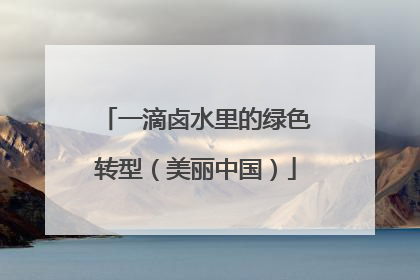 一滴卤水里的绿色转型（美丽中国）